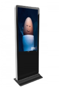 WҺVC݄׳FĂҊe`